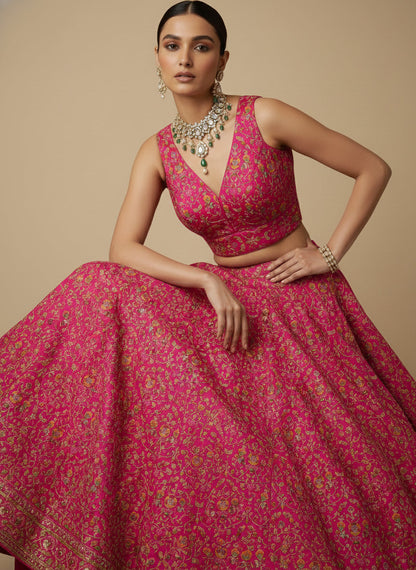Women's Embroidered V Neck Saree Blouse