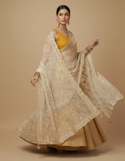 Capri Silk Padded V Neck Saree Blouse